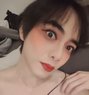 Yo Yo Thailand Ladyboy - Acompañantes transexual in Muscat Photo 1 of 5