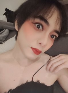 Yo Yo Thailand Ladyboy - Acompañantes transexual in Muscat Photo 1 of 5