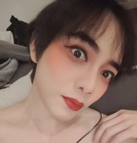 Yo Yo Thailand Ladyboy - Acompañantes transexual in Muscat