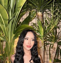 Yoana Putri - Acompañantes transexual in Jakarta