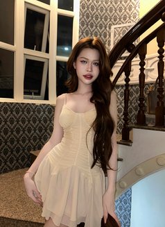 Yogurt in Sukukvit. Big 6.5 - Transsexual escort in Bangkok Photo 6 of 7