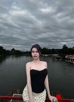 Yogurt in Sukukvit. Big 6.5 - Transsexual escort in Bangkok Photo 7 of 7