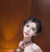 Pure Luxury, Pure Passion Bkk🍾 - Transsexual escort in Bangkok