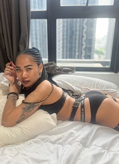 Yok - escort in Şalālah Photo 1 of 4