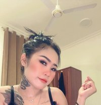 Yok - escort in Şalālah