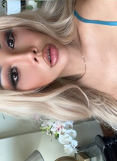 Yoko 🇯🇵🇹🇭 - Transsexual escort in Al Juffair Photo 6 of 7