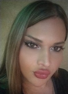 Yolla - Transsexual escort in Beirut Photo 17 of 17