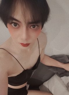 Yori Thailand Ladyboy - Acompañantes transexual in Dammam Photo 2 of 4