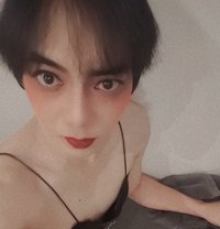Yori Thailand Ladyboy - Acompañantes transexual in Dammam