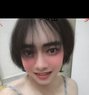 Yori Thailand - Transsexual escort in Khobar Photo 1 of 6