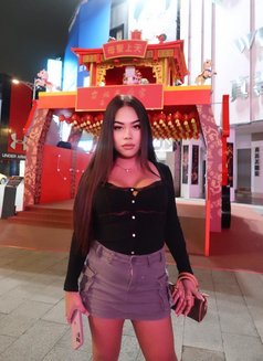 Yoshi in KL - Acompañantes transexual in Kuala Lumpur Photo 23 of 24