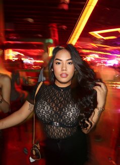 Yoshi - (just arrived) - Acompañantes transexual in Kuala Lumpur Photo 27 of 27