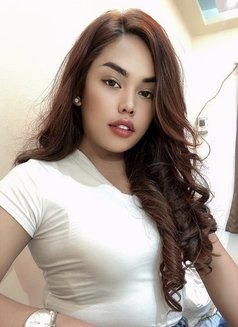 Yoshi TS - Transsexual escort in Hat Yai Photo 8 of 15