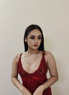 Yosi New ladyboy 🇹🇭 - Transsexual escort in Ajmān Photo 7 of 20