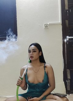 Yosi New ladyboy 🇹🇭 - Transsexual escort in Ajmān Photo 15 of 20