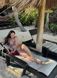 You Need Incall or Outcall - escort in Doha Photo 1 of 3