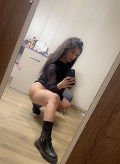 Youmi - Transsexual escort in Beirut Photo 16 of 16