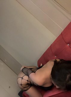 Youmi - Transsexual escort in Beirut Photo 15 of 20