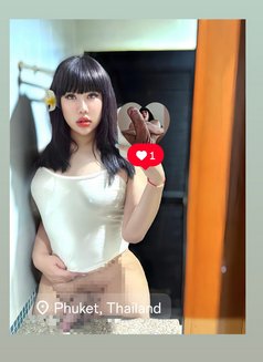 YOUNG 22 Y New Phuket #VVIP BOTH 🦮 - Transsexual escort in Phuket Photo 1 of 15