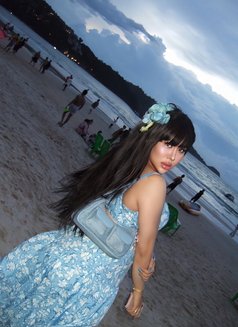 YOUNG 22 Y New Phuket #VVIP BOTH 🦮 - Transsexual escort in Phuket Photo 15 of 16