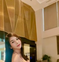 YOUNG AND FRESH TOP GAMER - Transsexual escort in Kuala Lumpur Photo 7 of 7