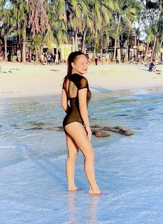Young and Hottest Ladyboy - Transsexual escort in Manila Photo 1 of 6