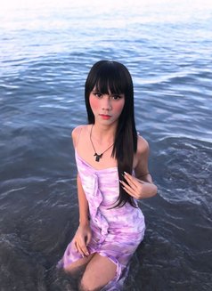 Young Arki Camshow/content/meet - Transsexual escort in Makati City Photo 3 of 7