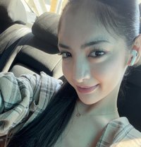 Young Ashley (Exclusive Young Girl) - escort in Shanghai