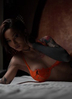⚜️ AIRI ⚜️ - Transsexual escort in Dubai Photo 1 of 15