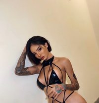⚜️ Miranda ⚜️ - Transsexual escort in Dubai