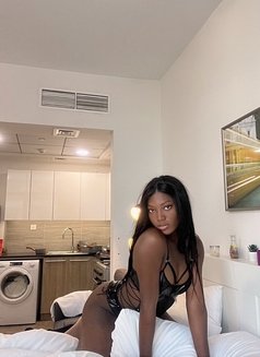Perfect black big cock in Qatar now - Transsexual escort in Doha Photo 6 of 12