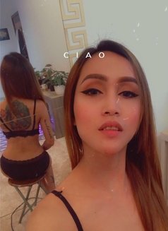 Young both shemale “queen Hanna” - Transsexual escort in Dubai Photo 24 of 26