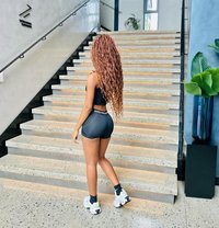 Young Classy Horny Girl Sweetie - escort in Gurgaon