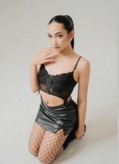 Young&fresh_Sofia🦢 - Acompañantes transexual in Makati City Photo 8 of 9