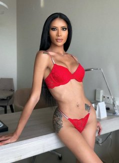 🦄Young Hannah🦄 - Acompañantes transexual in Dubai Photo 8 of 29