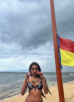 Young Hot Latina🇨🇴🇵🇭 (JUST ARRIVED) - escort in Taipei Photo 9 of 20