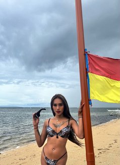 Young Hot Latina🇨🇴🇵🇭 (JUST ARRIVED) - escort in Taipei Photo 6 of 20