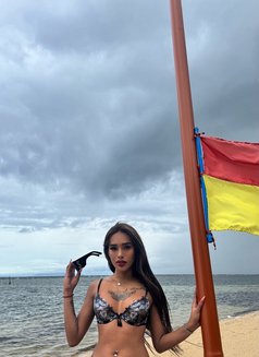 Young Hot Latina🇨🇴🇵🇭 (JUST ARRIVED) - escort in Taipei Photo 7 of 20
