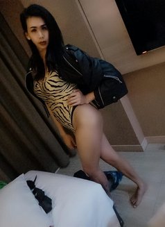 Young - Transsexual escort in Jakarta Photo 1 of 8