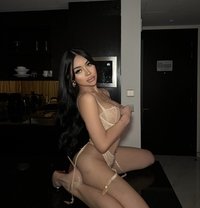 young influencer w/ Anal Independent - escort in Dubai
