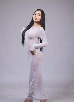 Young Lady Boy (just arrived) - Transsexual escort in Taipei Photo 8 of 22