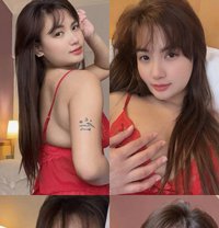 Sweet Naughty from singapore - escort in Taipei