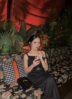 Young molly (just arrived) - escort in Shanghai Photo 15 of 15