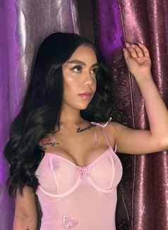 Young Petite SANDY 🇵🇭 - Transsexual escort in Dubai Photo 29 of 29