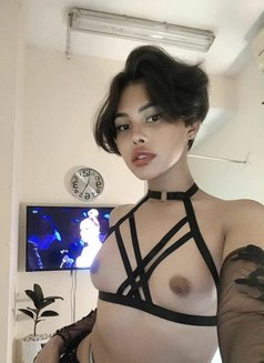Young Reyan - Transsexual escort in Makati City Photo 1 of 9