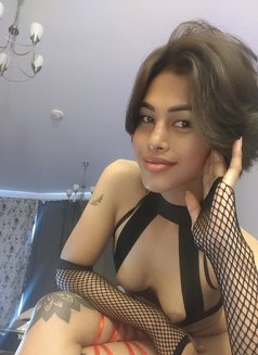 Young Reyan - Transsexual escort in Makati City Photo 8 of 9
