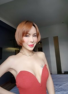 Young Beauty Sexy TS Vivien - Transsexual escort in Bangkok Photo 1 of 11