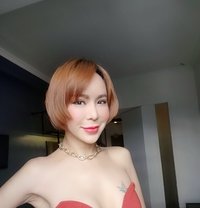 Young Beauty Sexy TS Vivien - Acompañantes transexual in Hong Kong