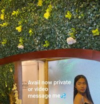 Young Shemale Ivori - Transsexual escort in Riyadh