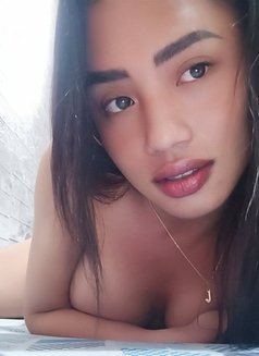 Young Transversatile From Manila - Transsexual escort in Manila Photo 3 of 7